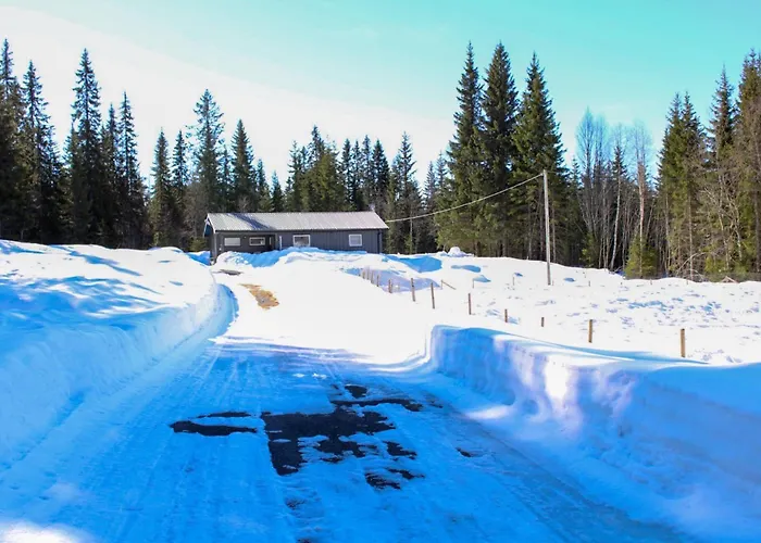 Hus Naer Og Sjusjoen * Lillehammer